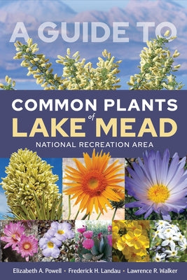A Guide to Common Plants of Lake Mead National Recreation Area Paperback University of Nevada Press