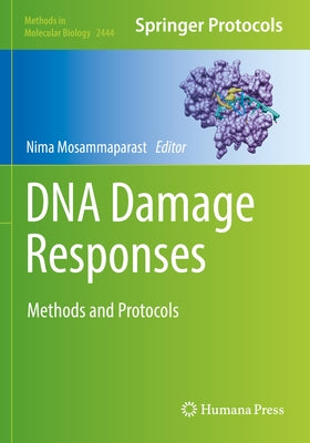 DNA Damage Responses: Methods and Protocols Paperback Humana