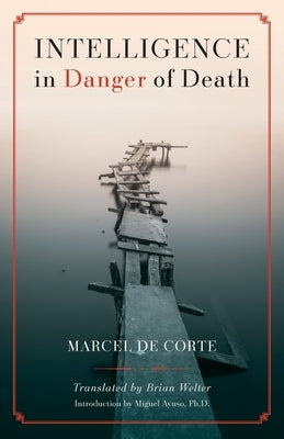 Intelligence in Danger of Death (English edition) Paperback Arouca Press