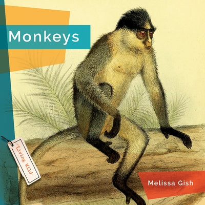 Monkeys Paperback Creative Paperbacks