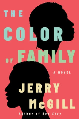 The Color of Family Paperback Little a