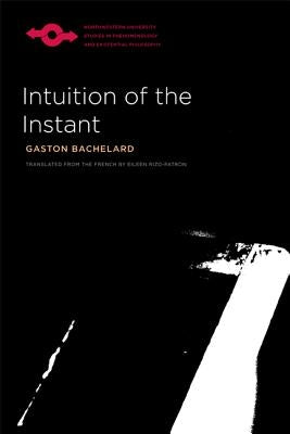 Intuition of the Instant Paperback Northwestern University Press