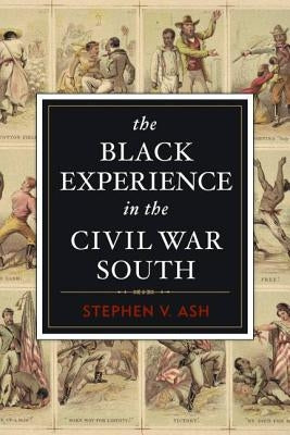 The Black Experience in the Civil War South Paperback Potomac Books