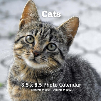 Cats 8.5 X 8.5 Calendar September 2021 -December 2022: Monthly Calendar with U.S./UK/ Canadian/Christian/Jewish/Muslim Holidays-Cute Kittens Pets Paperback Independently Published