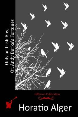 Only an Irish Boy; Or, Andy Burke's Fortunes Paperback Createspace Independent Publishing Platform