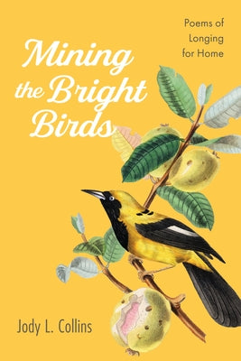 Mining the Bright Birds Paperback Resource Publications (CA)