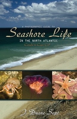 A Photographic Guide to Seashore Life in the North Atlantic: Canada to Cape Cod Paperback Princeton University Press