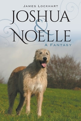 Joshua & Noelle: A Fantasy Paperback MindStir Media