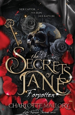 The Secrets of Jane Paperback Owlery Publications