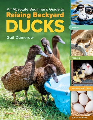 An Absolute Beginner's Guide to Raising Backyard Ducks: Breeds, Feeding, Housing and Care, Eggs and Meat Paperback Storey Publishing
