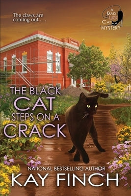 The Black Cat Steps on a Crack Paperback Beyond the Page Publishing