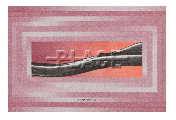 Place Paperback Noemi Press