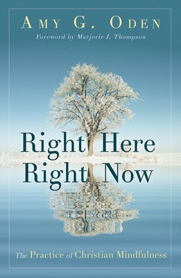 Right Here Right Now: The Practice of Christian Mindfulness Abingdon Press