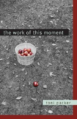 The Work of This Moment Paperback Shambhala