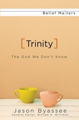 Trinity: The God We Don't Know Paperback Abingdon Press