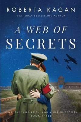 A Web of Secrets Paperback Roberta Kagan