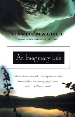 An Imaginary Life Paperback Vintage