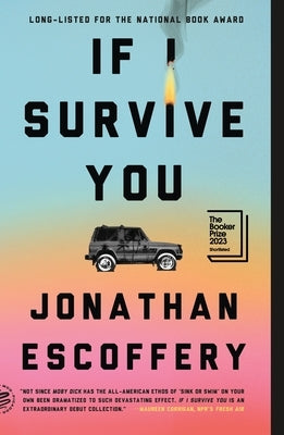 If I Survive You Paperback Picador USA