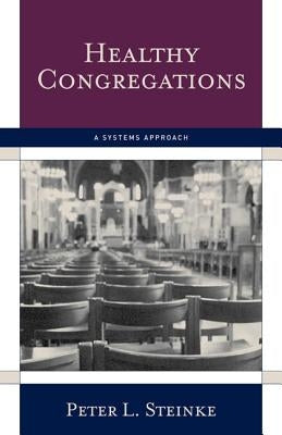Healthy Congregations: A Systems Approach Paperback Alban Institute