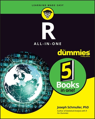 R All-In-One for Dummies Paperback For Dummies