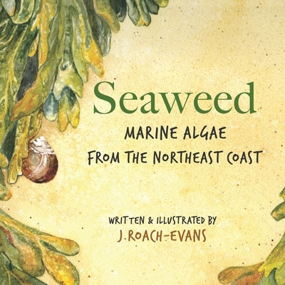 Seaweed: Marine Algae from the Northeast Coast Paperback Pickerel Publishing