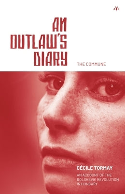 An Outlaw's Diary Paperback Antelope Hill Publishing