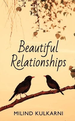 Beautiful Relationships - A Collection of Seven Fictions Paperback White Falcon Publishing