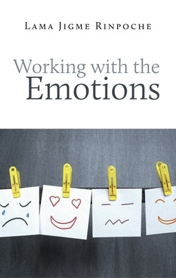 Working with the Emotions Paperback Rabsel Publications