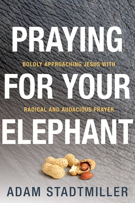 Praying for Your Elephant: Boldly Approaching Jesus with Radical and Audacious Prayer David C Cook