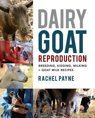 Dairy Goat Reproduction: Breeding, Birthing, and Milking + Goat Milk Recipes Paperback Rachel Payne