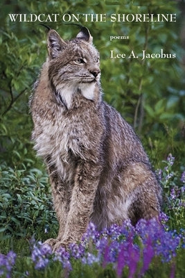 Wildcat on the Shoreline Paperback Antrim House