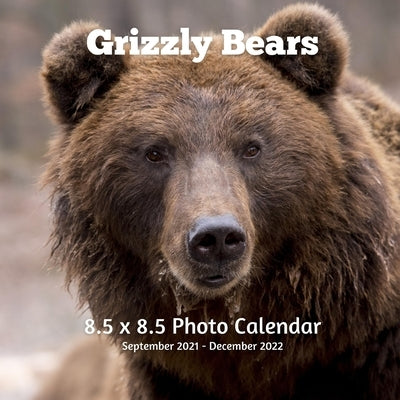 Grizzly Bears 8.5 X 8.5 Calendar September 2021 -December 2022: Monthly Calendar with U.S./UK/ Canadian/Christian/Jewish/Muslim Holidays-Giraffe Anima Paperback Independently Published