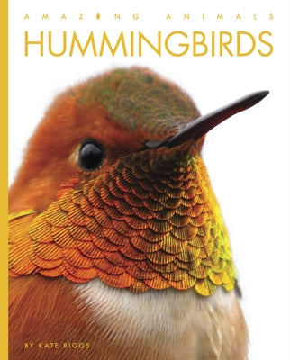 Hummingbirds Paperback Creative Paperbacks