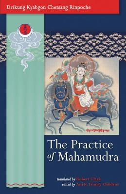 The Practice of Mahamudra: The Teachings of His Holiness, the Drikung Kyabgon, Chetsang Rinpoche Paperback Snow Lion Publications