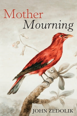 Mother Mourning Paperback Resource Publications (CA)