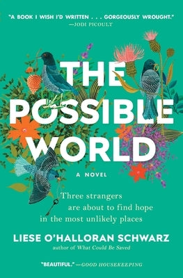 The Possible World Paperback Scribner Book Company