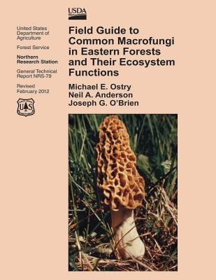 Field Guide to Common Macrofungi in Eastern Forests and Their Ecosystem Functions Paperback Createspace Independent Publishing Platform