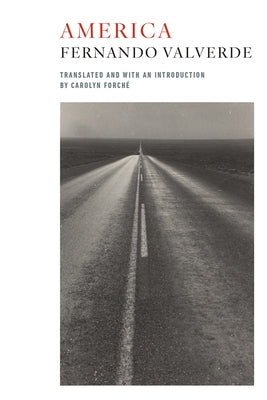 America: Bilingual Edition Paperback Copper Canyon Press