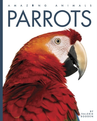 Parrots Paperback Creative Paperbacks