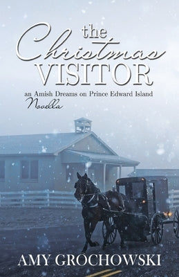 The Christmas Visitor Paperback Emerald House Group