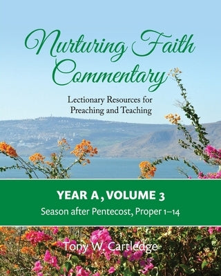 Nurturing Faith Commentary, Year A, Volume 3: Lectionary Resources for Preaching and Teaching-Season after Pentecost: Proper 1-14 Paperback Nurturing Faith