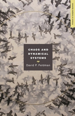 Chaos and Dynamical Systems Paperback Princeton University Press