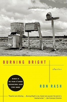 Burning Bright: Stories Paperback Ecco Press