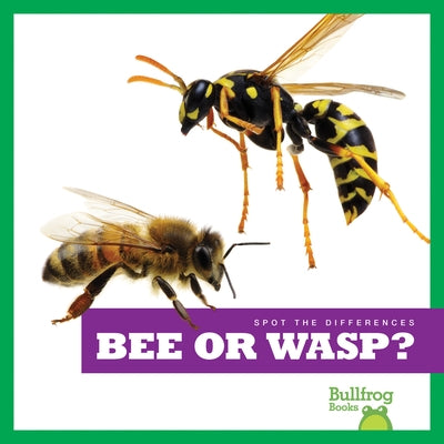Bee or Wasp? Paperback Bullfrog Books