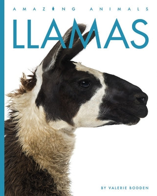 Llamas Paperback Creative Paperbacks