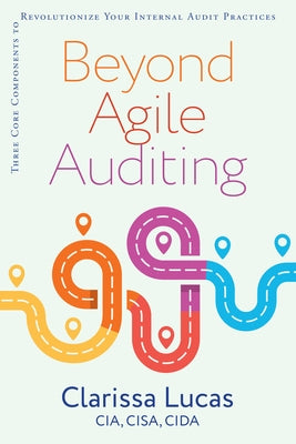 Beyond Agile Auditing: Three Core Components to Revolutionize Your Internal Audit Practices Paperback It Revolution Press