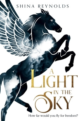 A Light in the Sky Paperback Wink Road Press