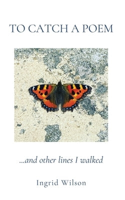 To Catch a Poem Paperback Experiments in Fiction