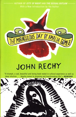 The Miraculous Day of Amalia Gómez Paperback Grove Press