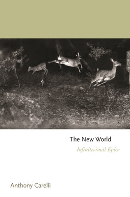 The New World: Infinitesimal Epics Paperback Princeton University Press